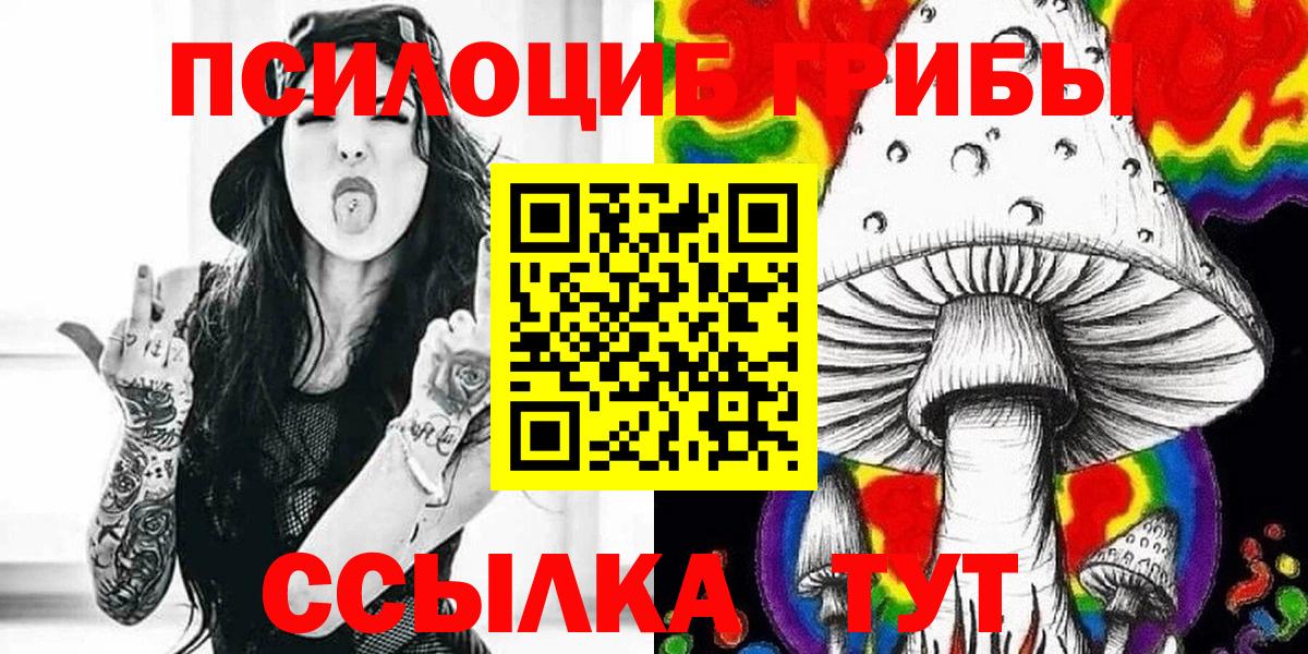 Псилоцибиновые грибы Psilocybine cubensis Нефтекумск