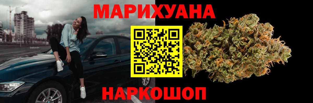 Канабис сатива Нефтекумск